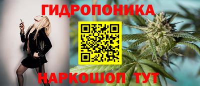 прущие грибы Будённовск