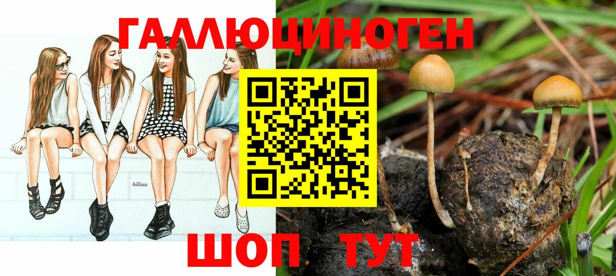 Галлюциногенные грибы MAGIC MUSHROOMS  Псилоцибиновые грибы Magic Shrooms  Реутов  Вход с VPN 